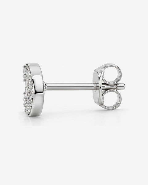 Aretes Piscis